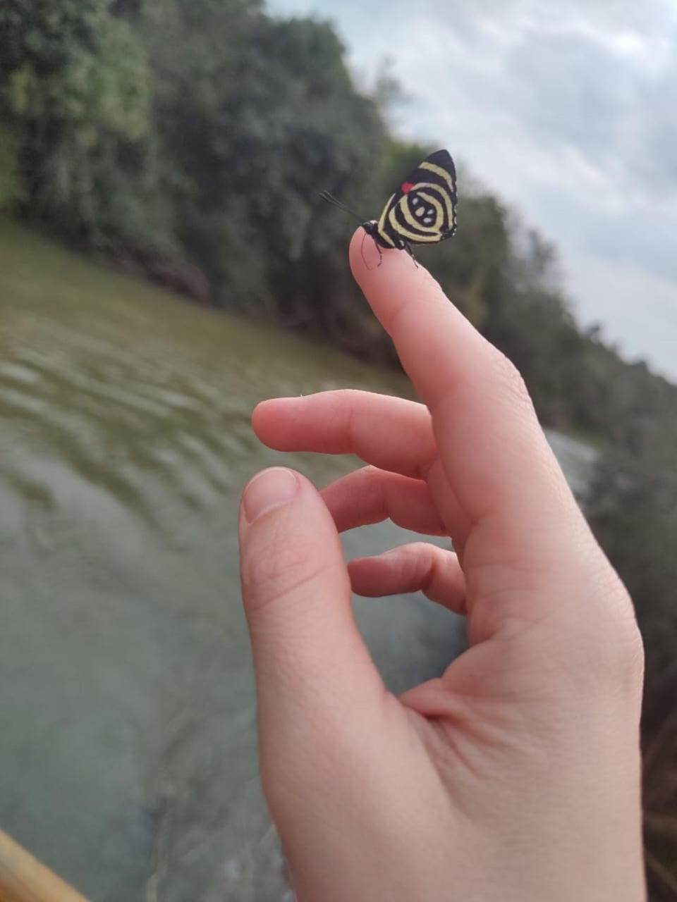 Complejo Alma Misionera Otel Puerto Iguazú Dış mekan fotoğraf